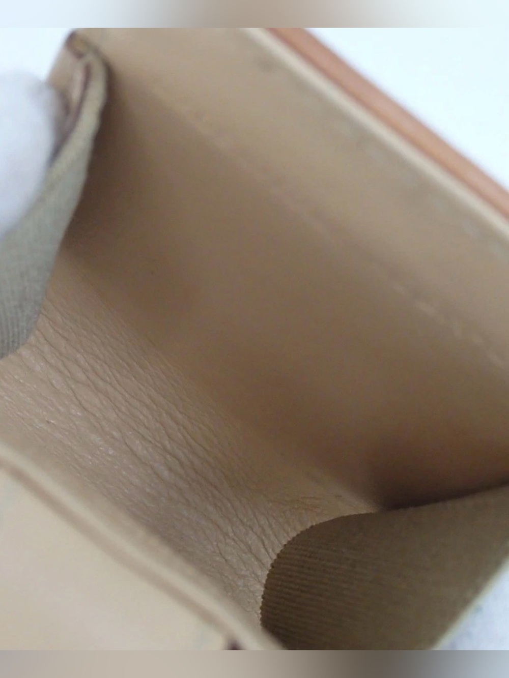 DIOR Trotter Mini Case ππ₯ - Picture 5 of 11
